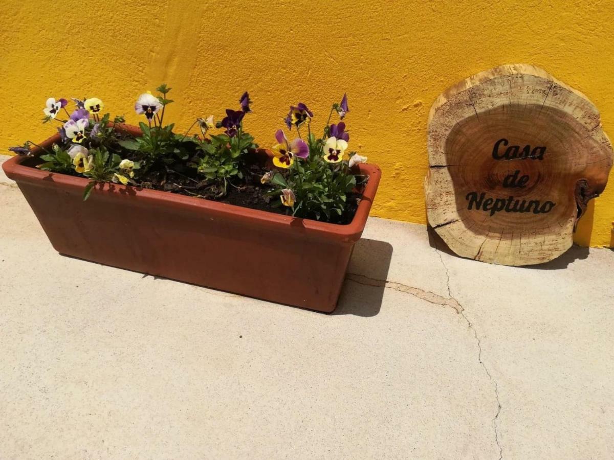 Casa Neptuno Villa Rabo de Peixe Eksteriør billede